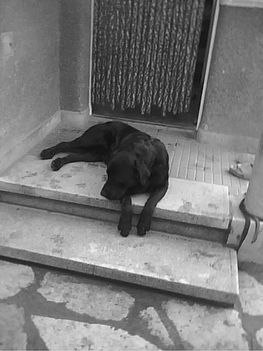 roky 2