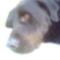 roky 3