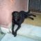 Roky 4