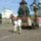 Tallin