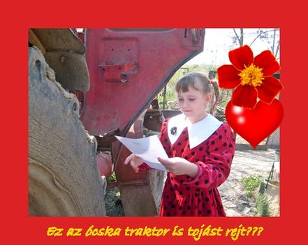 Vikike 9