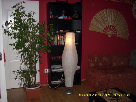 DSCI0246