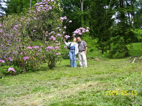 Én és a férjem gyönyörködünk a Rododendroban