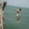 Jump in the sea