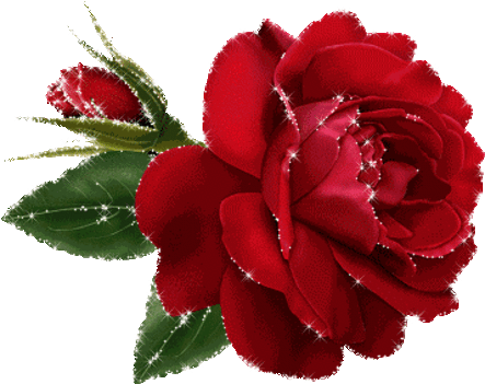 villogó rózsa