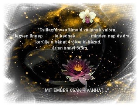 351_ember-csak-kivanhat