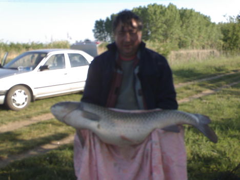 DSC00106
