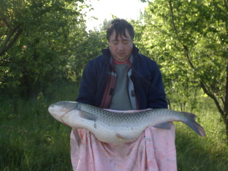 DSC00107