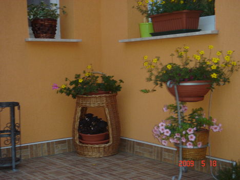 2009.05.18