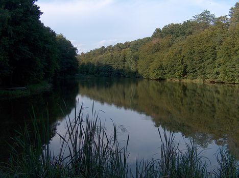 Vadása