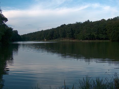 Vadása