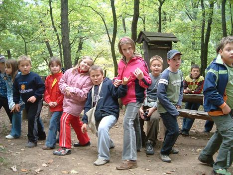 Virág vadaspark