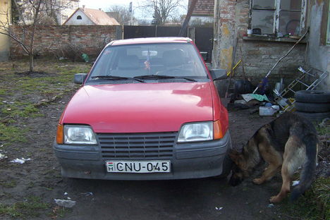 Kép 017