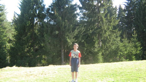 toplitai kirandulas2009
