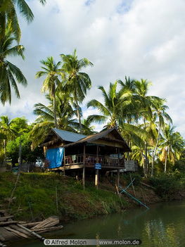 06 Bungalow and palm trees