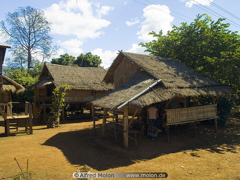07 Wooden houses with leaves roofs