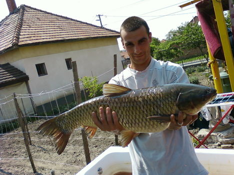 10-es amur2