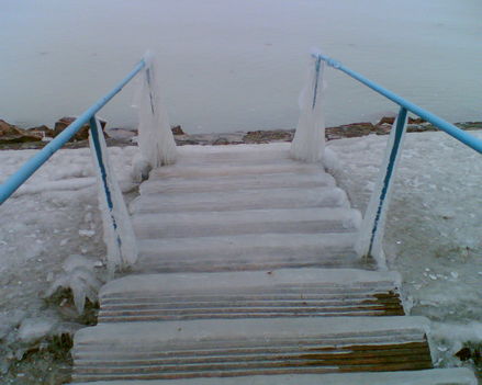 BALCSI~2