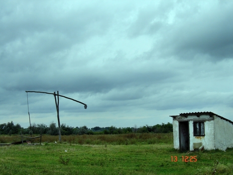 DSC00428