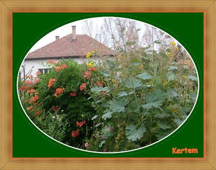 kertem