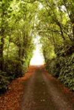 the road