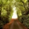 the road