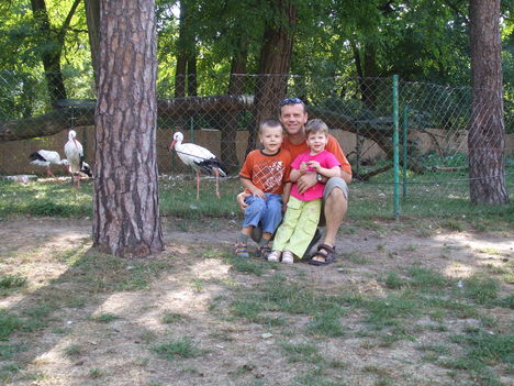 Én és a gyerekek az állatkertben