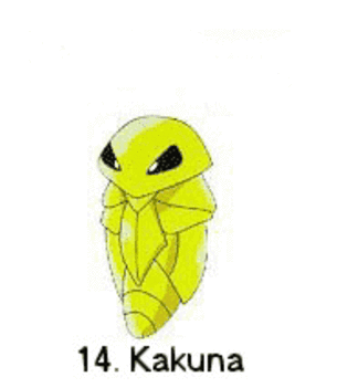 POKÉMON 10