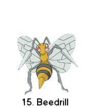 POKÉMON 11