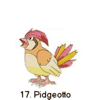 POKÉMON 13