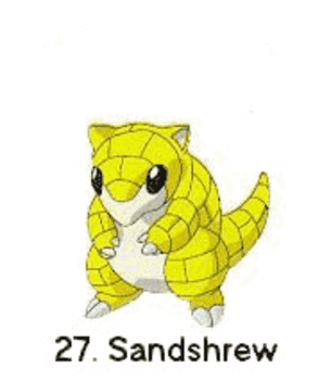 POKÉMON 23