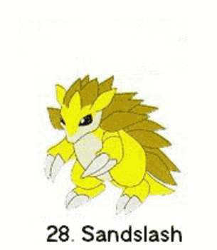 POKÉMON 24