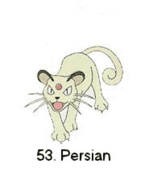 POKÉMON 49