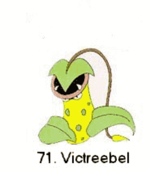 POKÉMON 67