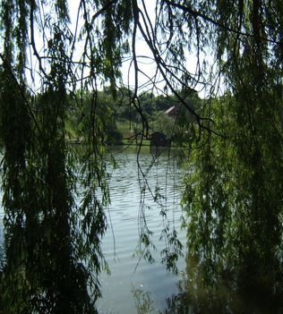 2009