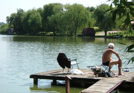 2009