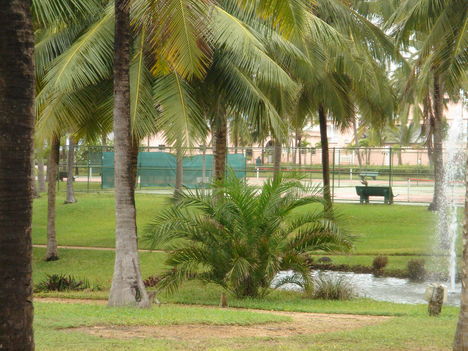 DSC00951
