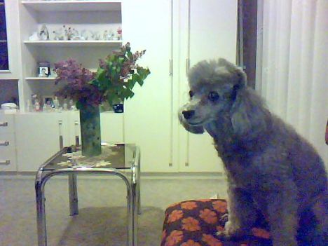 IMG000051