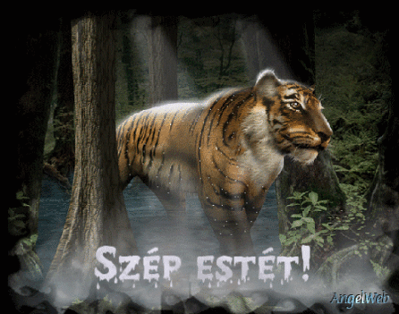 szep_estet12