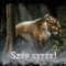 szep_estet12