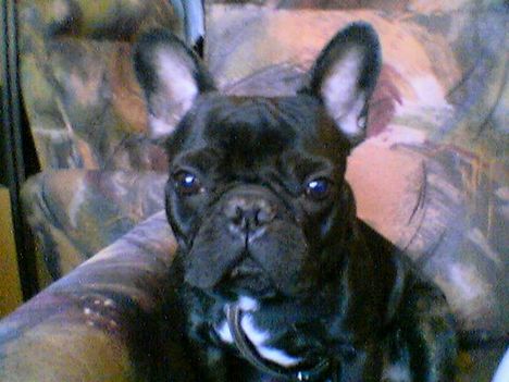 Pierre(05)