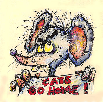 CATS GO HOME !