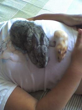 picture004