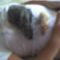 picture004
