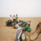 A Sivatagban a tevéken