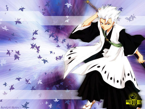 Bleach 14