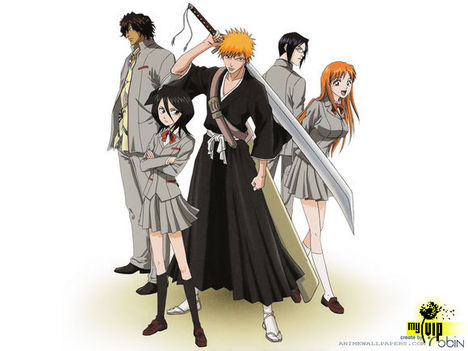 Bleach 16