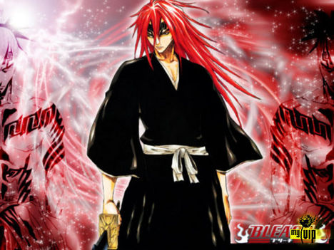 Bleach 18