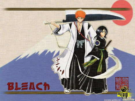 Bleach 1