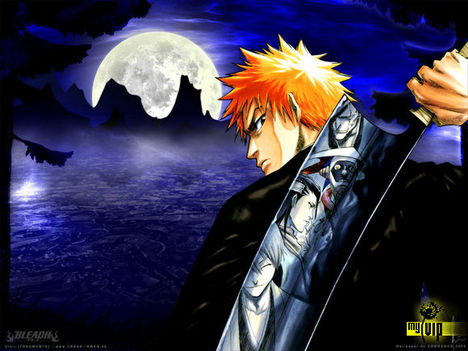 Bleach 22